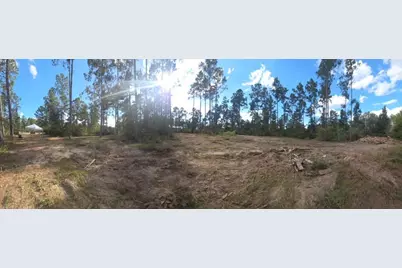 700 Pr 8160, Lovelady, TX 75851 - Photo 6