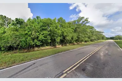1439 County Road 878A, Sweeny, TX 77480 - Photo 1