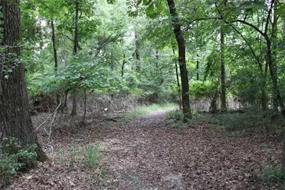339 Eastern Hills Drive, Jefferson, TX 75657 - Photo 6