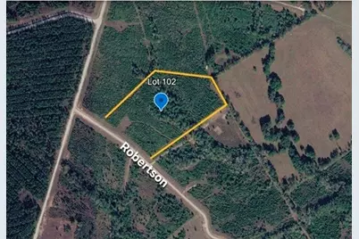 Tract 102 Robertson Road, Lovelady, TX 75851 - Photo 2
