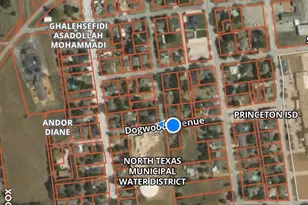 301 Dogwood Ave, Princeton, TX 75407 - Photo 16