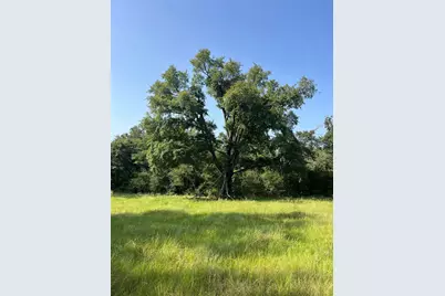 Na Cr 320, Centerville, TX 75833 - Photo 6