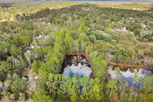 18186 Blackberry Rd, Conroe, TX 77306 - Photo 4