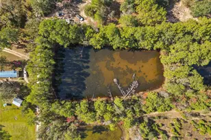 18186 Blackberry Rd, Conroe, TX 77306 - Photo 6