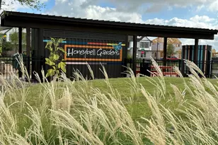 25207 Aster Hls Ln, Katy, TX 77493 - Photo 28