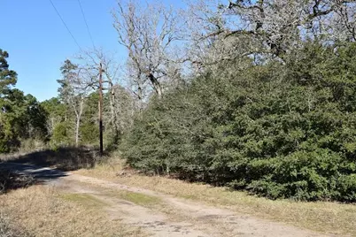 8900 Fm 229, Grapeland, TX 75844 - Photo 1