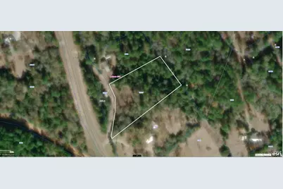 8900 Fm 229, Grapeland, TX 75844 - Photo 8