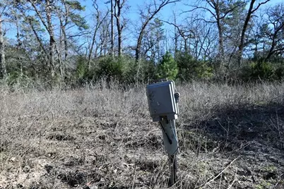 8900 Fm 229, Grapeland, TX 75844 - Photo 2