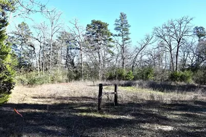 8900 Fm 229, Grapeland, TX 75844 - Photo 4