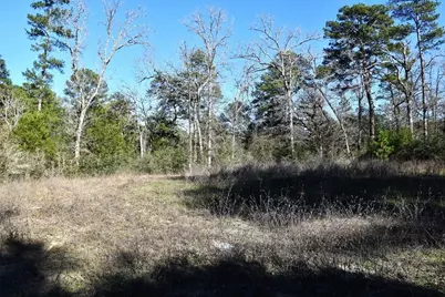 8900 Fm 229, Grapeland, TX 75844 - Photo 6