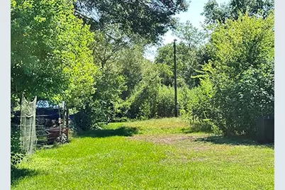 0000 Niles Street, Rock Island, TX 77470 - Photo 1