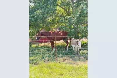 0000 Niles Street, Rock Island, TX 77470 - Photo 4