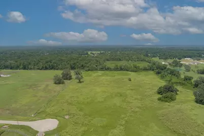 2310 Majestic Oaks Court, Rosharon, TX 77583 - Photo 4