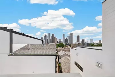 1105 Wilson St, Houston, TX 77019 - Photo 34