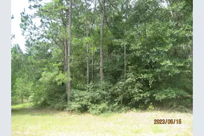 30079 Round Up Drive, Waller, TX 77484 - Photo 8