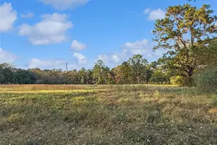 3301 Co Rd 2570, Woodville, TX 75979 - Photo 16
