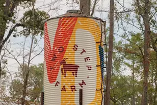 9314 Clucking Hen St, Montgomery, TX 77316 - Photo 8