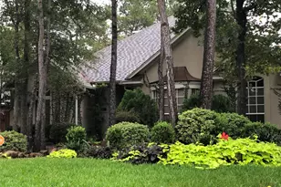 19 E Sunny Slope Cir, The Woodlands, TX 77381 - Photo 1