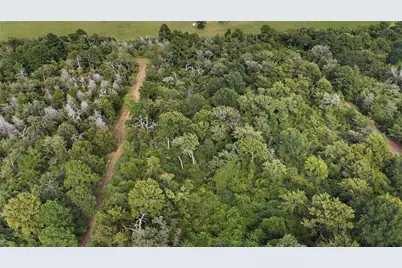 29028 Sandpiper Lane, Prairie View, TX 77445 - Photo 1