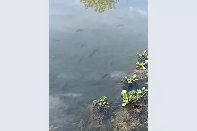 18106 Domino Road, Waller, TX 77484 - Photo 8