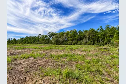 13110 Blackberry Drive, Lumberton, TX 77657 - Photo 12
