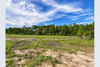 13110 Blackberry Drive, Lumberton, TX 77657 - Photo 10