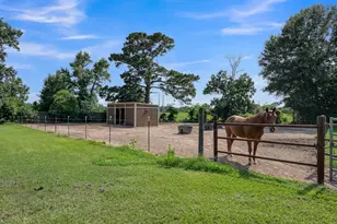 17055 Rogers Rd, Willis, TX 77378 - Photo 6