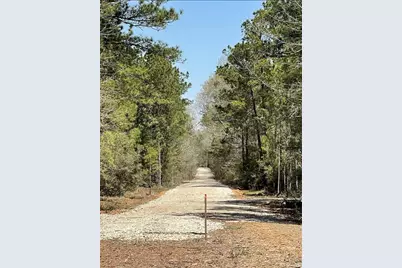 17040 E William Road, Conroe, TX 77303 - Photo 6