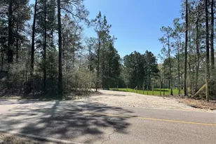17040 E William Rd, Conroe, TX 77303 - Photo 1