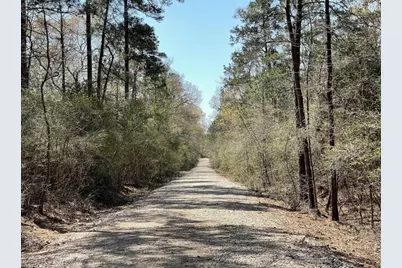 17040 E William Road, Conroe, TX 77303 - Photo 4