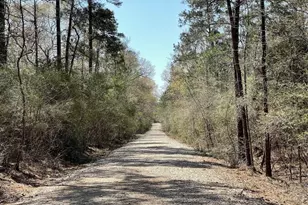 17040 E William Rd, Conroe, TX 77303 - Photo 4