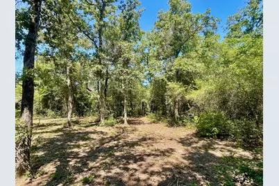 9212 Stetson Drive, Normangee, TX 77871 - Photo 8