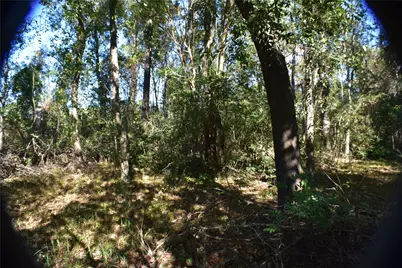 3415 Evergreen Drive, Kingwood, TX 77365 - Photo 18