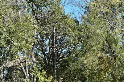 3415 Evergreen Drive, Kingwood, TX 77365 - Photo 14
