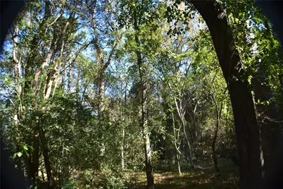 3415 Evergreen Drive, Kingwood, TX 77365 - Photo 20
