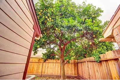 11818 Plumpoint Drive, Houston, TX 77099 - Photo 10