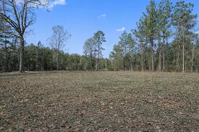 21202 Peach Wood, Cleveland, TX 77328 - Photo 6