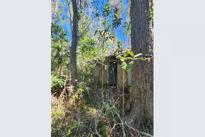 228 Holly Street, Huffman, TX 77336 - Photo 14