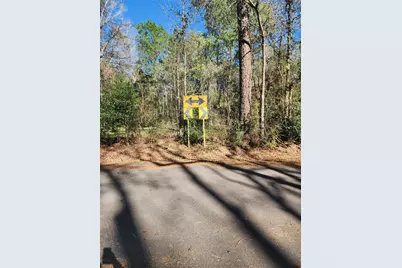 228 Holly Street, Huffman, TX 77336 - Photo 26