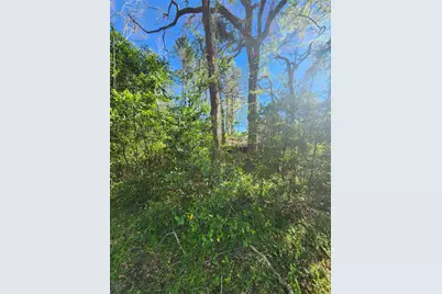 228 Holly Street, Huffman, TX 77336 - Photo 8