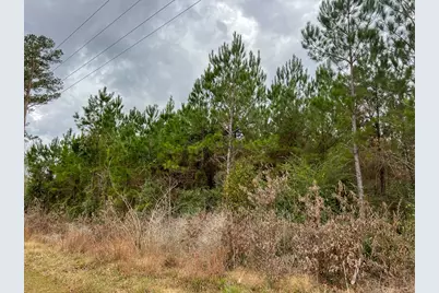 2 Highway 87, Newton, TX 75966 - Photo 10