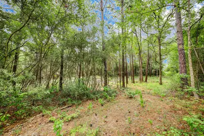 125 Pyrite Court, Huntsville, TX 77340 - Photo 8
