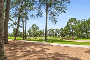 3514 Cypress Point Cir, Montgomery, TX 77356 - Photo 4