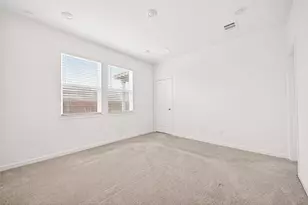 21815 White Bellflower Ln, Cypress, TX 77433 - Photo 22