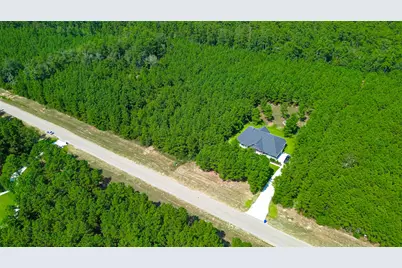 11997 High Branch Way, Willis, TX 77378 - Photo 4