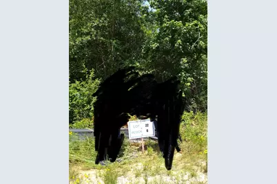 67 Coyote Run Road, Willis, TX 77358 - Photo 6