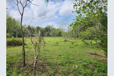 Tbd County Road 79, Rosharon, TX 77583 - Photo 6
