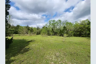 Tbd County Road 79, Rosharon, TX 77583 - Photo 10