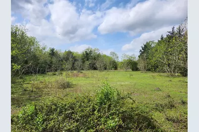 Tbd County Road 79, Rosharon, TX 77583 - Photo 4