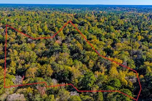 Tbd Rolling Ridge Rd, Goodrich, TX 77335 - Photo 1